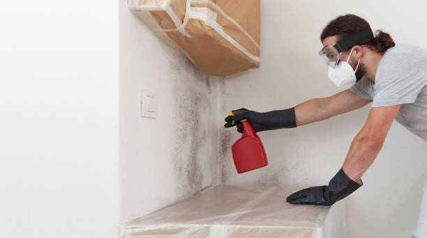 Professional Mold Inspection And Testing technician working in Inwood, NY